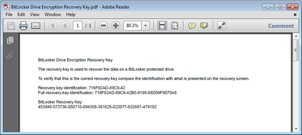 BitLocker Drive Encryption Recovery Key PDF file open on Adobe Reader