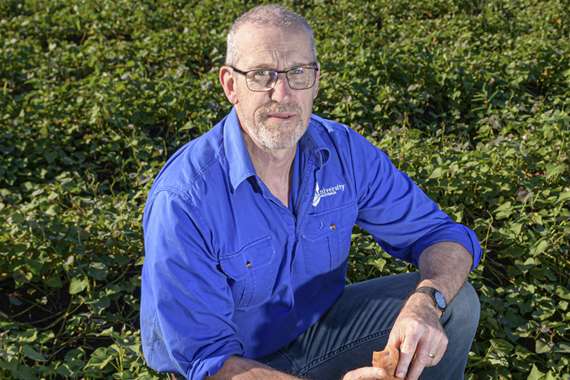 Professor Philip Brown surrounded by plants holding a sweet potato