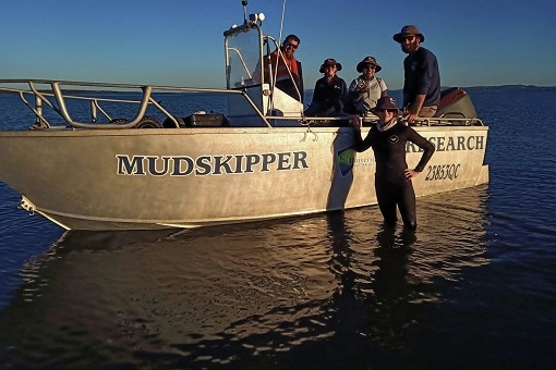 Researchers standing in and around a boat in the Gladstone Harbour