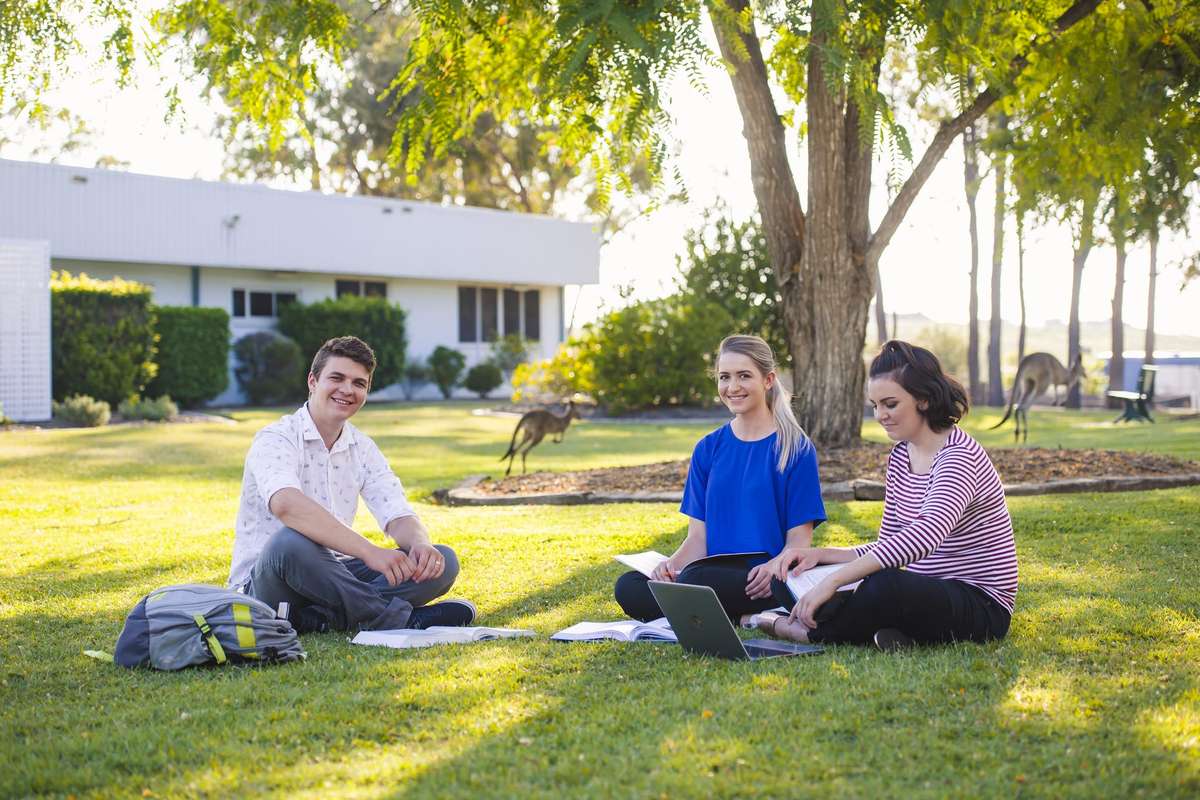 Three students sitting on grass studying outdoors with trees and kangaroos in the background.jpeg