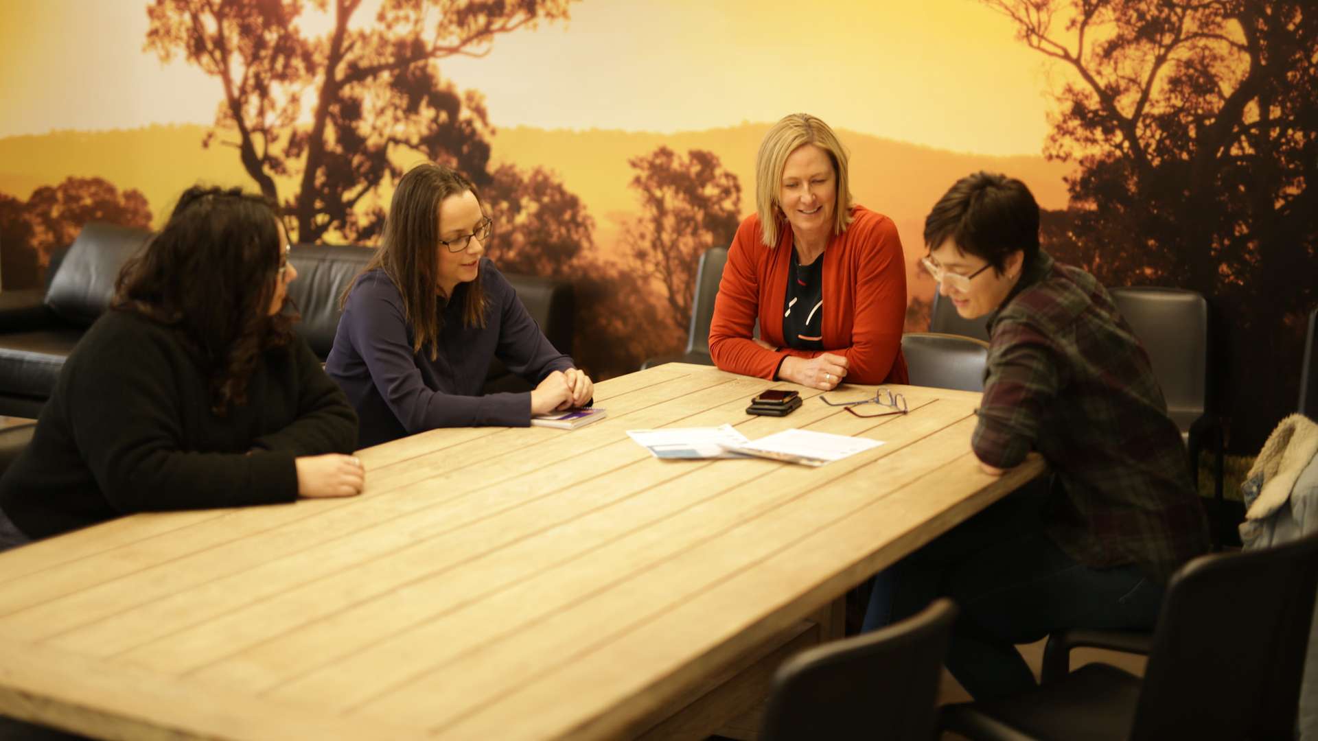 Appleton reseachers and staff sitting around a table look at papers with an Australian outback sunset lanscape mural in the background