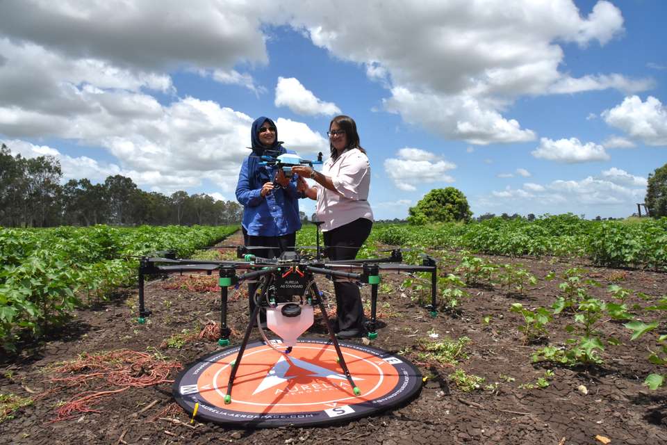 Drone project leads Dr Jahan Hassan and Dr Nahina Islam stand in a cotton field, with a spraying drone in the foreground.