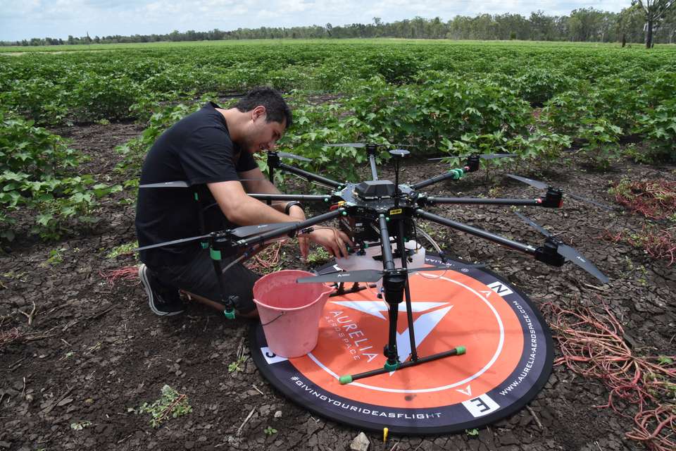 Dr Anand Koirala fills a container attached to a drone with herbicide, while in a cotton field.