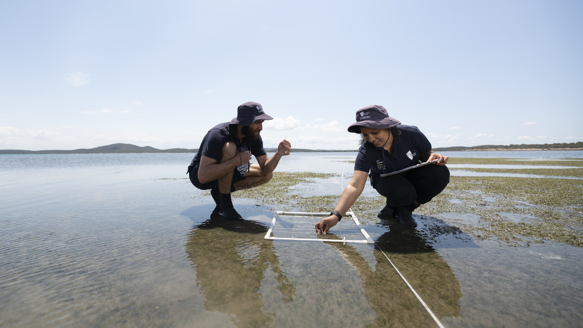 Two CMERC researchers squatting down on seagrass meadows collecting data