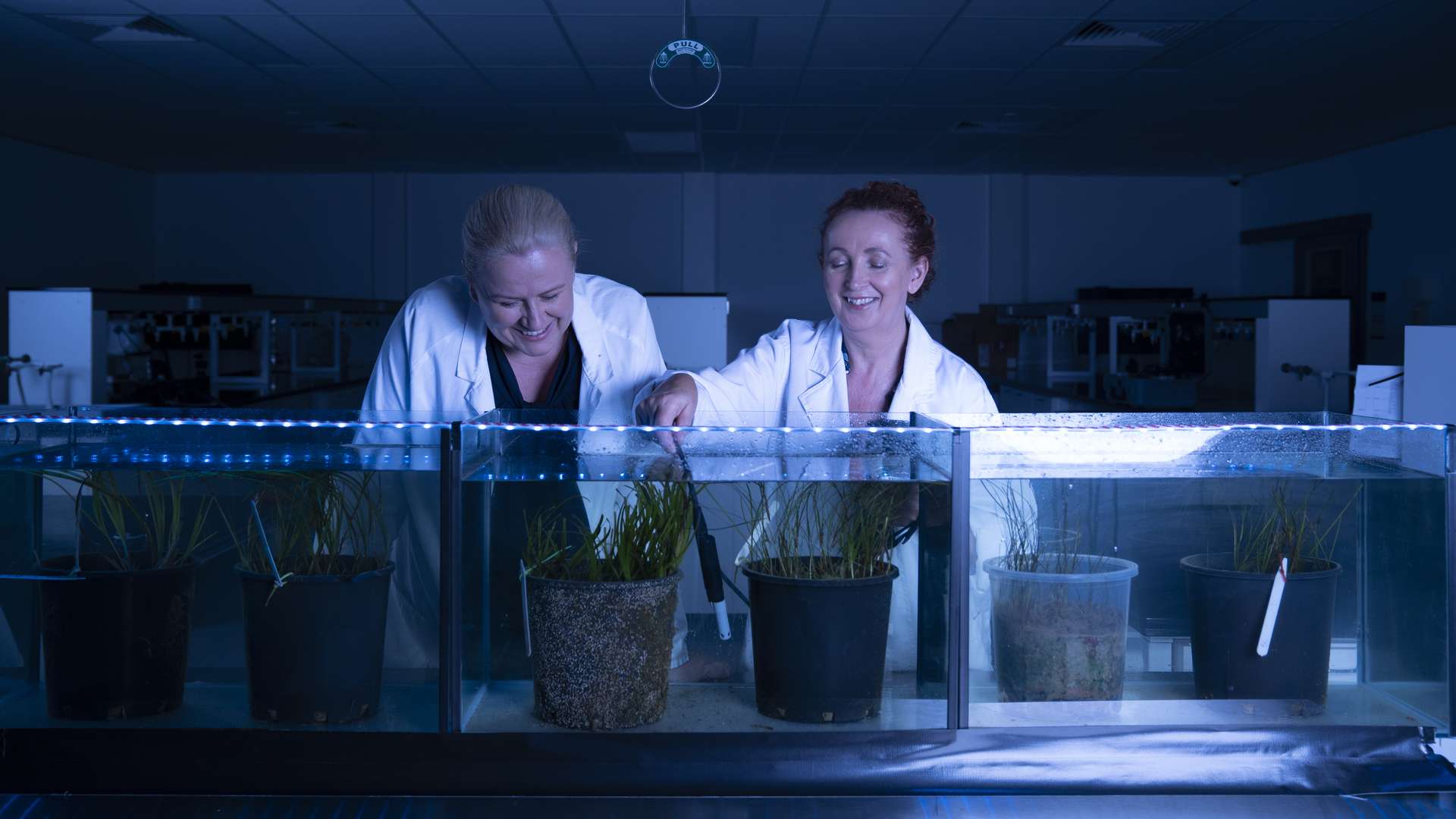 Two Research Higher Degree students inspecting seagrass in tanks in a CMERC laboratory