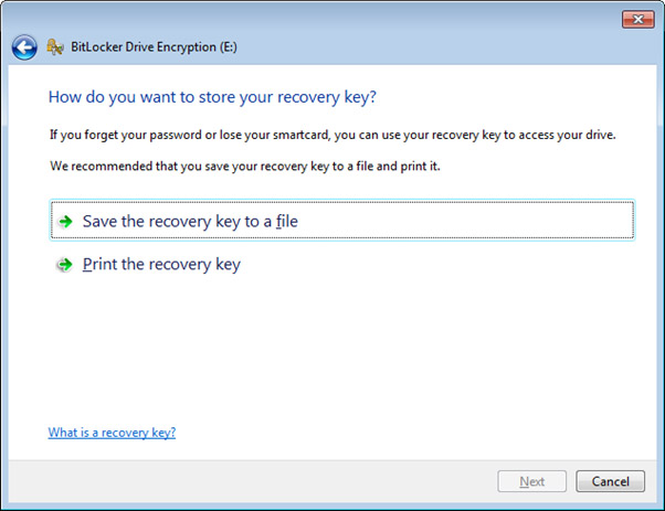 The BitLocker Drive Encryption program asks you to choose how you want to store your recovery key, giving options between saving it to a file or printing it.