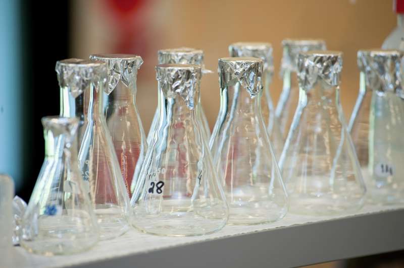 BDG Science Laboratory 009.jpg