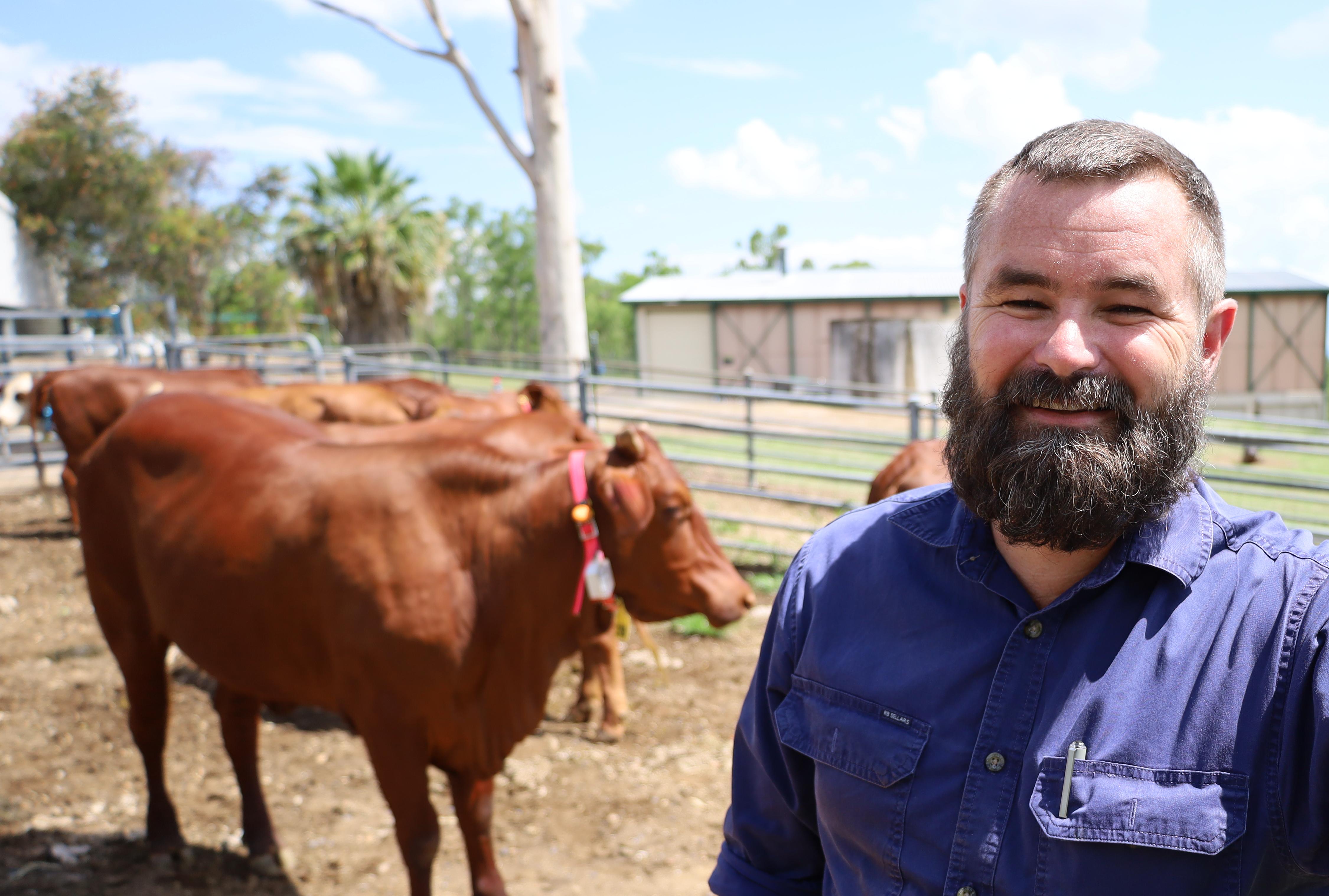 Man in long-sleeve shirt and thick beard taking selfie with cows in background