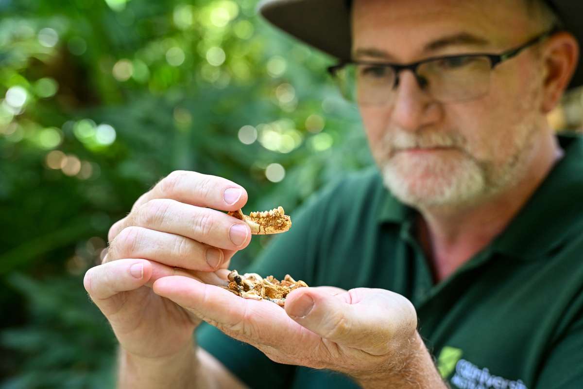 headshot_with_fossil_research_scott_hocknull_2026 (10).jpg