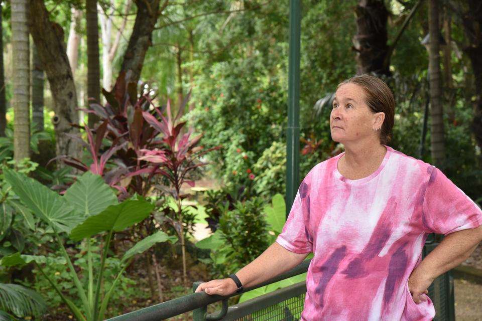 Woman in pink shirt stands looking out into lush tropical campus gardens