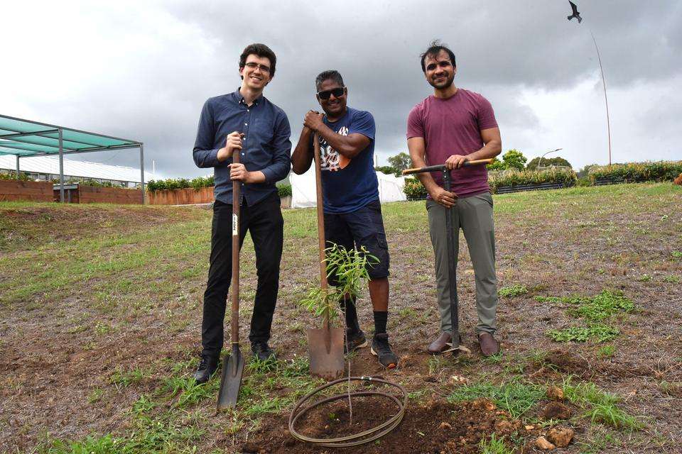 Dr Ryan du Preez, Dr Mani Naiker, Parbat Raj Thani stand with shovels, planting a small Gubbi Gubbi tree.