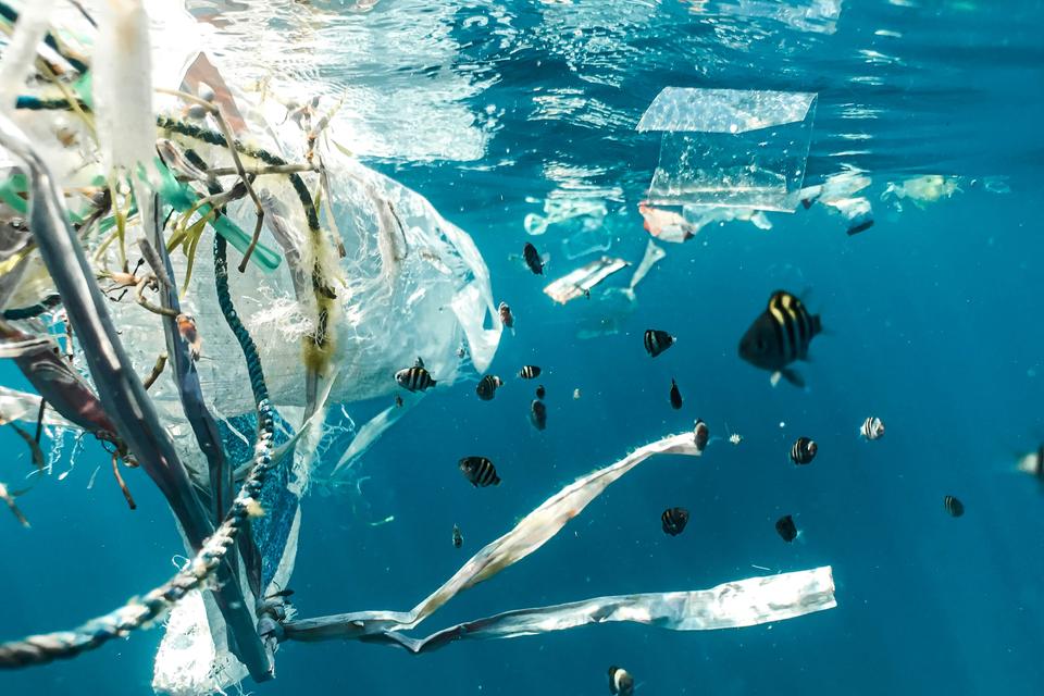 Plastic waste in the ocean. Image by Naja Bertolt-Jensen via Unsplash.