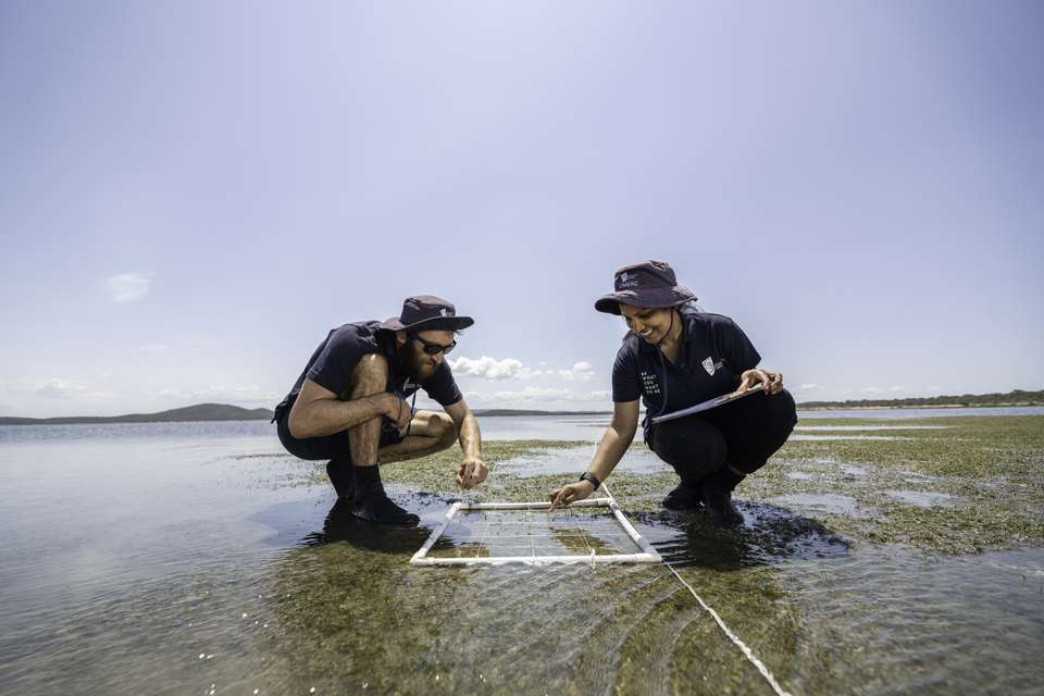 CQU Seagrass Research