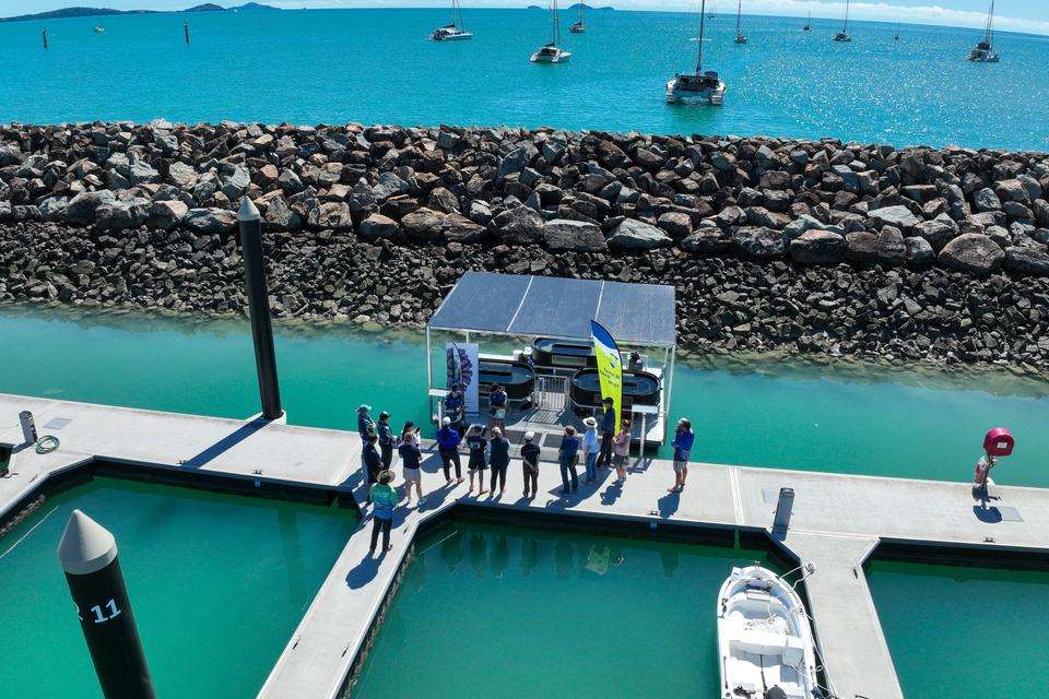 Aerial view of seagrass nursery on Airlie Beach pontoon