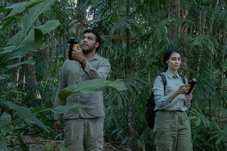 Two people in a rainforest holding yellow recording devices