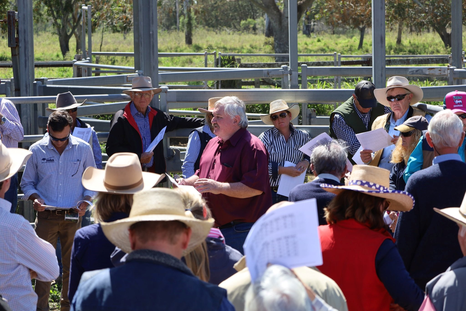 A large group of stakeholders meet at the cattle yards at Belmont station
