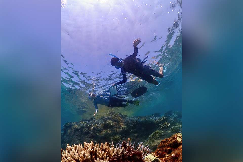 An image taken underwater amidst a coral reef, looking up at two divers. Sun beams filter through the ocean's surface.