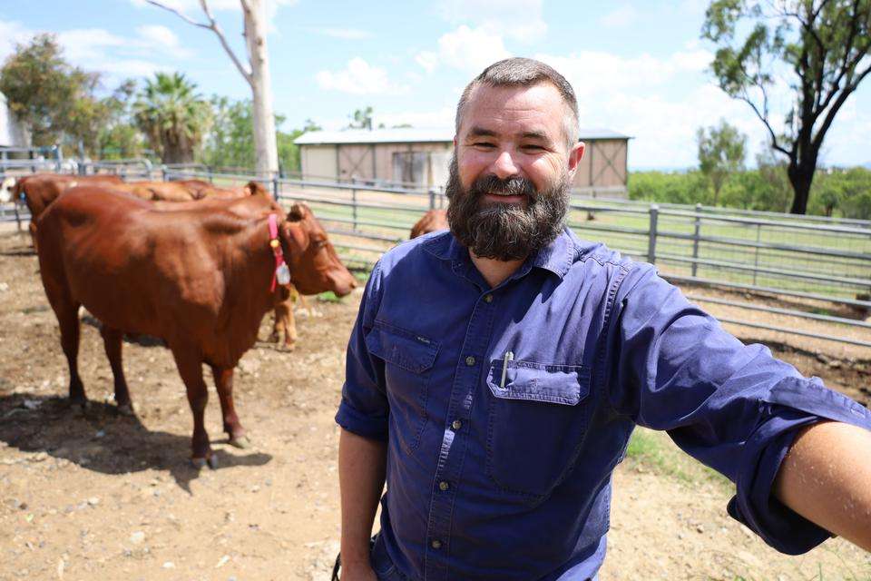 Man in long-sleeve shirt and thick beard taking selfie with cows in background