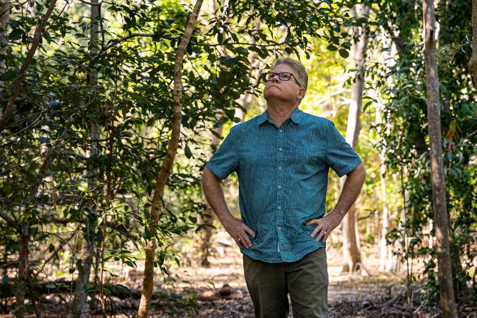 Adjunct Professor Steve Turton stands outside surrounded by bushland, with hands on hips as he looks upwards to the treetops