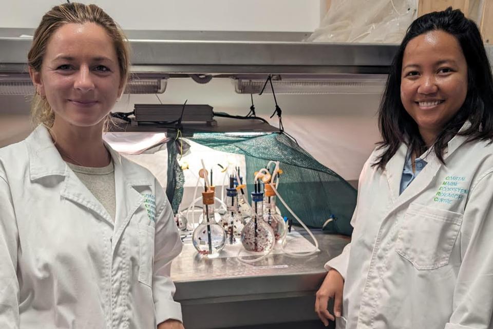 Seaweed researchers Emma Theobald and Najeen Rula in front of seaweed spores in glass beakers