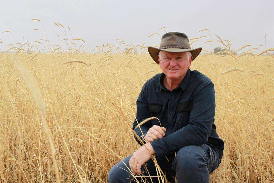 Farmer Steven Hobbs on his farm