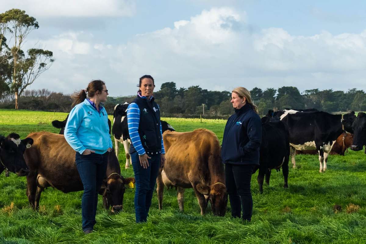 Three woman stand in a group in a green, grassy pasture surrounded by a herd of grazing dairy cows.