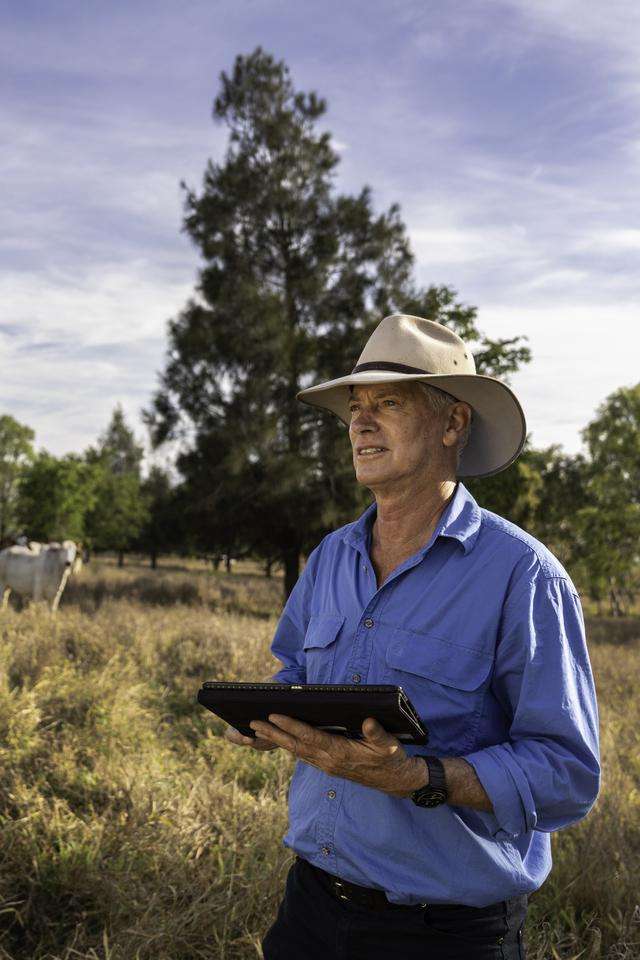 Farmer in cow field using tablet for plm research projects