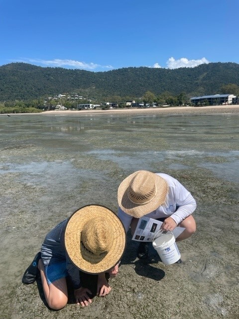 CMERC researchers inspecting seagrass on mud flats at a beach