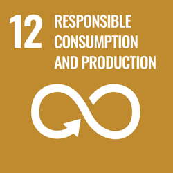 Sustainable Development Goal 12. Responsible Consumption and Production