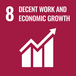 Sustainable Development Goal 8. Decent Work and Economic Growth