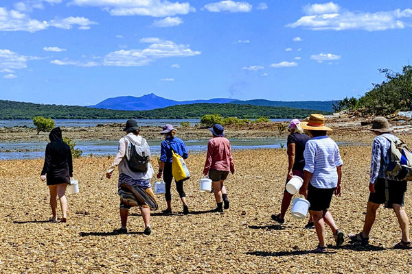 A group of volunteers walk across a rocky shoreline carrying white buckets