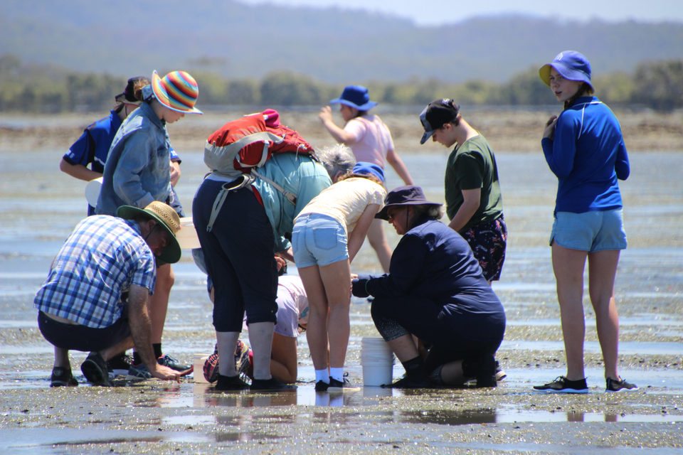 A smalll group of seagrass flower collection volunteers squating down on a seagrass meadow with CMERC director Emma Jackson