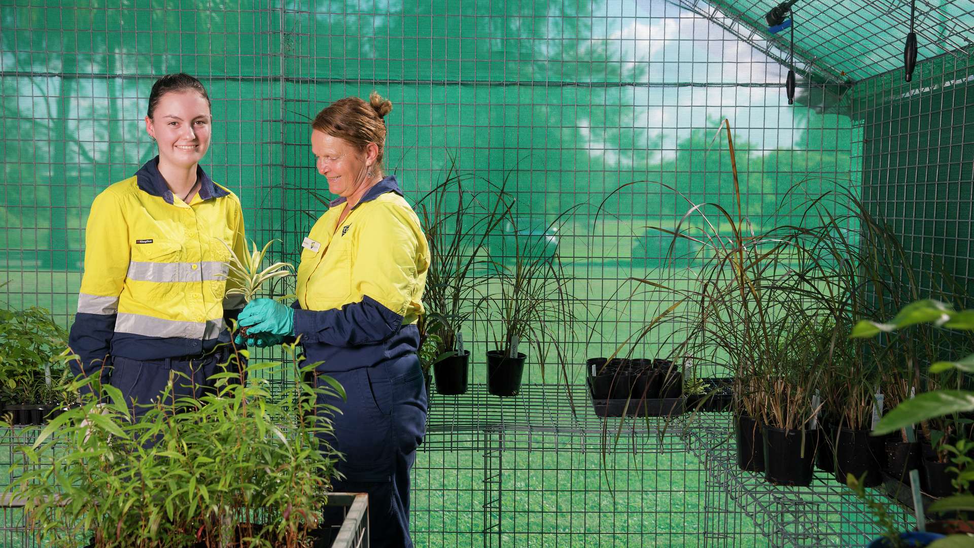 Two students in a greenhouse