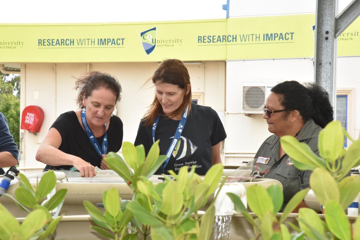 Seagrass collaborators looking at seagrass in nursery tanks.jpg